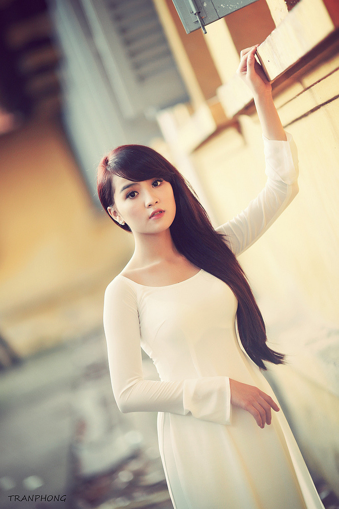 美丽小蜜蜂9